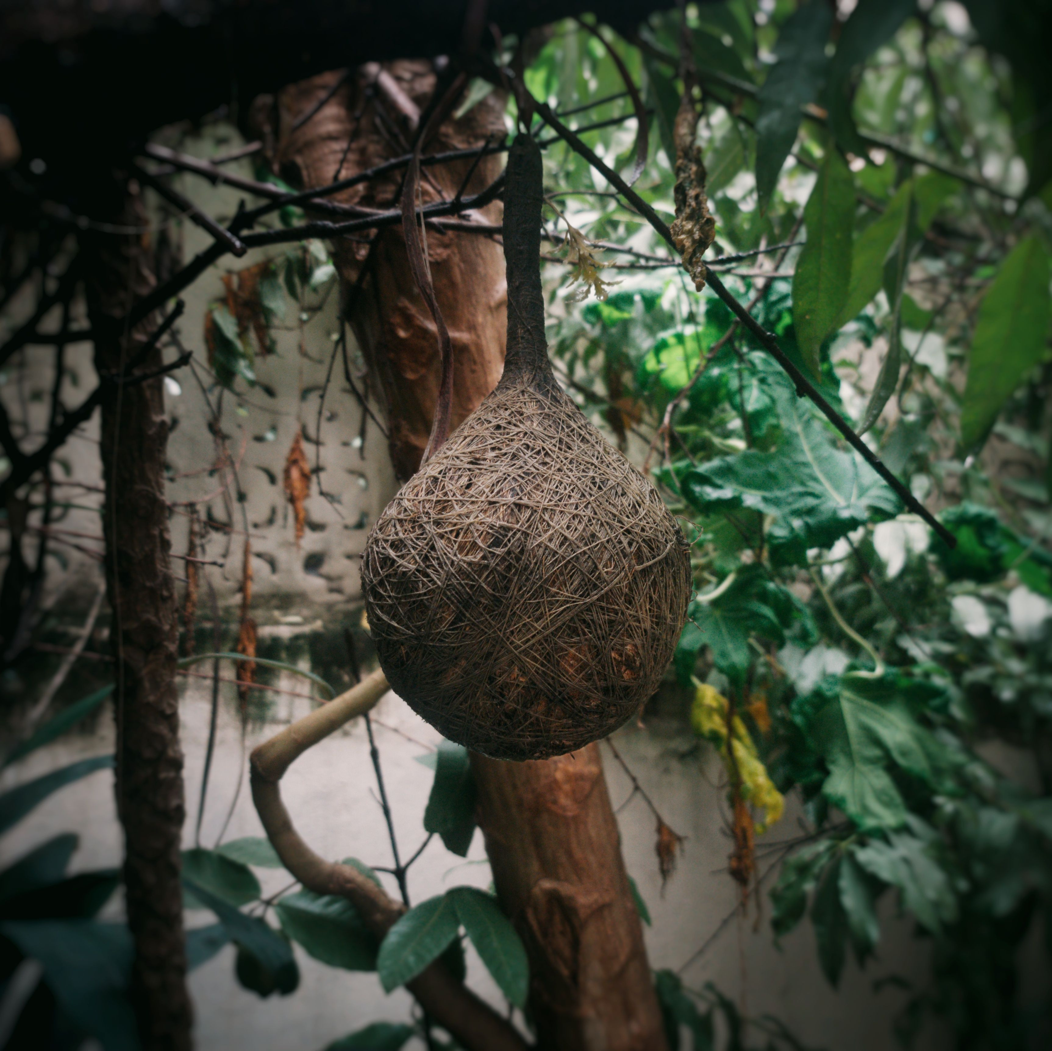 Handcrafted bird's nest between trees